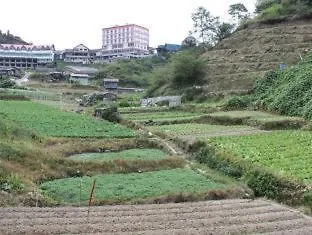 Rose Apartment Kea Farm Cameron Highlands Exterior photo