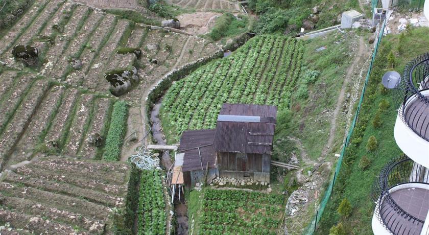 Rose Kea Farm *